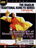 Shaolin Special Quan VII (1 DVD) 少林看家拳七路