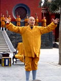 Shaolin Sengfu Duangua (Polyester/Cotton)