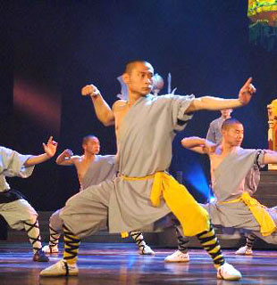 Shaolin Wuseng Single Arm Liangongfu w/ Pants (Cotton Plain)