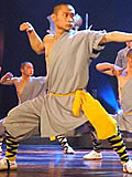 Shaolin Wuseng Single Arm Liangongfu w/ Pants (Cotton Plain)