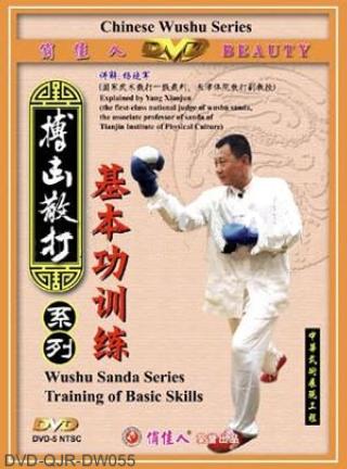 Basic Training of Sanda (2 DVD)