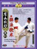 Wrestling Techniques of Sanda (1 DVD)
