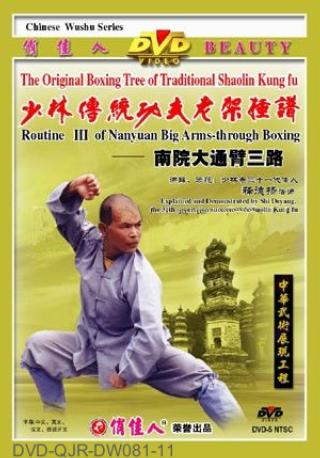 Shaolin South House Big Arm-through Fist III (1 DVD) 少林南院大通臂三路