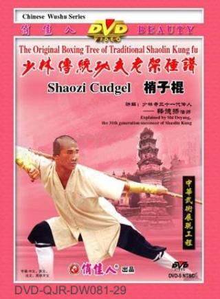 Shaolin Two-sectional Staff (1 DVD) 少林梢子棍