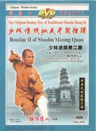 Shaolin Delusive Fist II (1 DVD) 少林迷踪拳二路