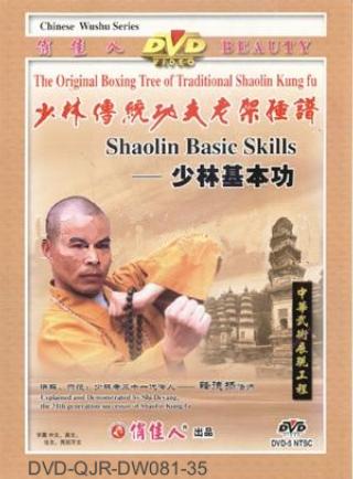 Shaolin Basic Skills (1 DVD) 少林基本功