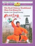 Shaolin Arm Through Fist (1 DVD) 少林通臂拳