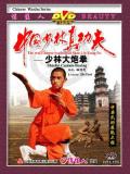 Shaolin Cannon Fist (1 DVD) 少林大砲拳