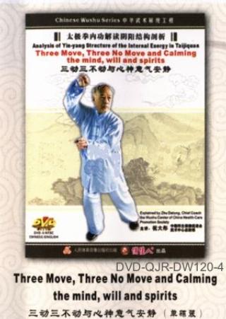 Taiji Concepts (1 DVD)