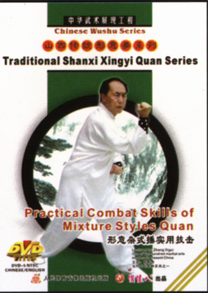 Practical Combat Skills of Mixture Styles Boxing (1 DVD)