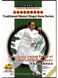 Practical Combat Skills of Mixture Styles Boxing (1 DVD)