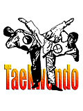 Taekwondo Series T-Shirt