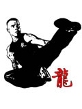 Kung Fu Series T-Shirt