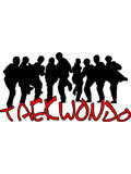 Taekwondo Series T-Shirt