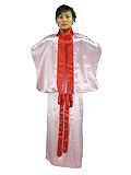 Chinese Hanfu Dress (Satin)